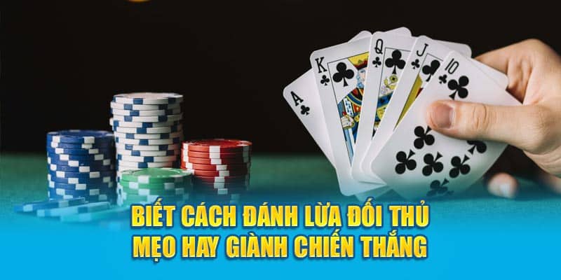 biet-cach-danh-lua-doi-thu-meo-hay-gianh-chien-thang