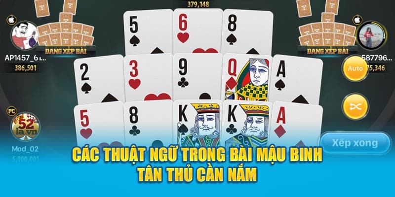 cac-thuat-ngu-trong-bai-mau-binh-tan-thu-can-nam