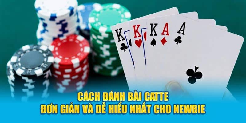 cach-danh-bai-catte-don-gian-va-de-hieu-nhat-cho-newbie