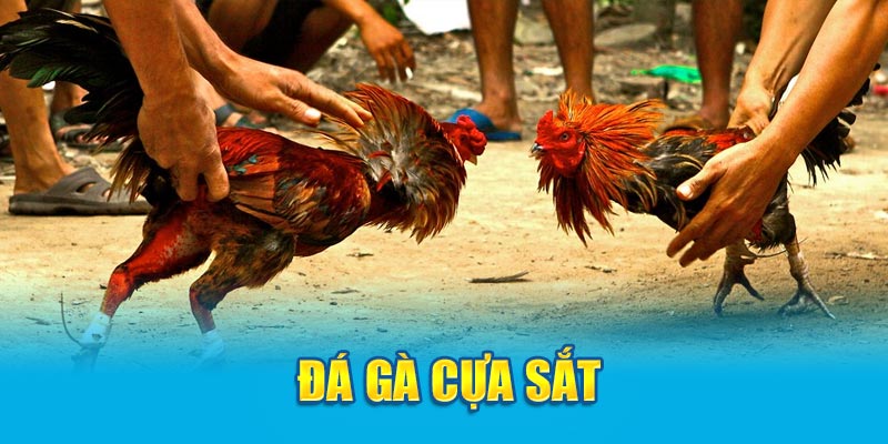 da-ga-cua-sat