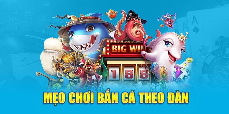 Mẹo chơi bắn cá theo đàn