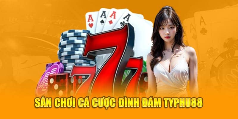 Sân chơi cá cược đình đám Typhu88