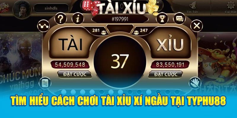 Tìm hiểu cách chơi tài xỉu xí ngầu tại Typhu88