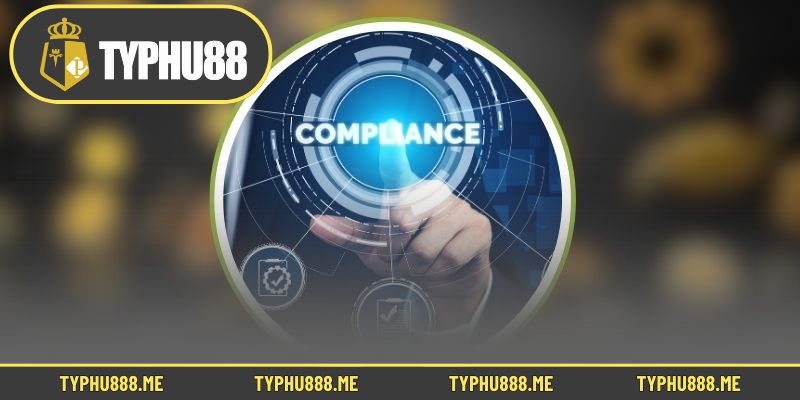 Hội viên nên nắm rõ các điều khoản và điều kiện tại Typhu88