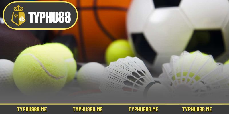 Thể thao Typhu88 chính thức được thành lập từ đầu năm 2010