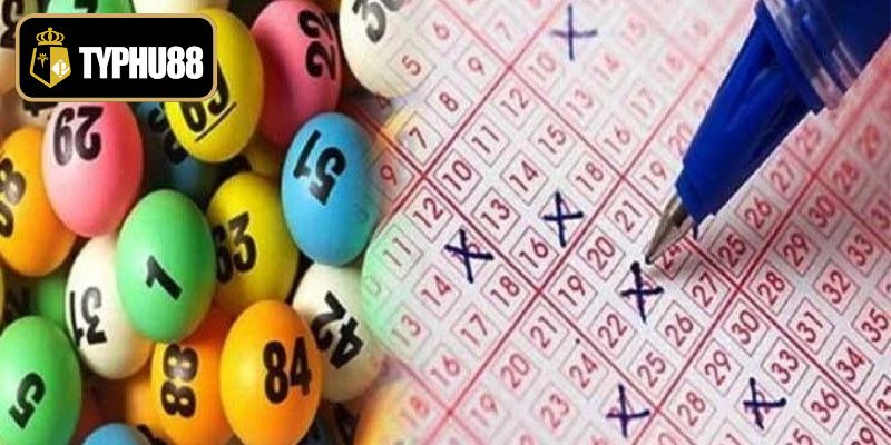 Quy trình tính toán lợi nhuận cá cược